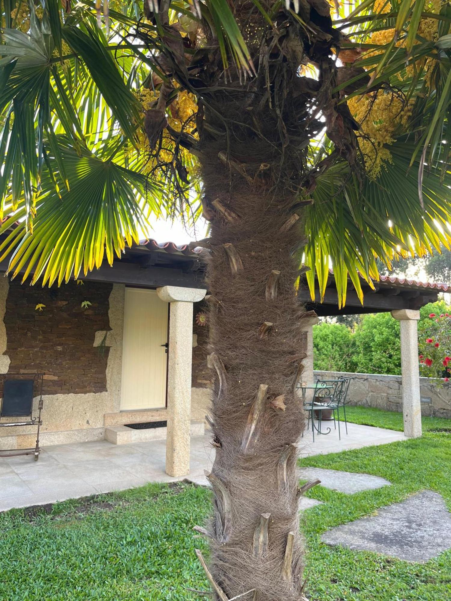 Casas Do Picoutinho Villa Ponte de Lima Luaran gambar